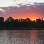Critical Murray Darling-Basin amendment gets green light
