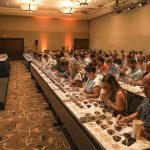 US in Australian wine sector’s sights