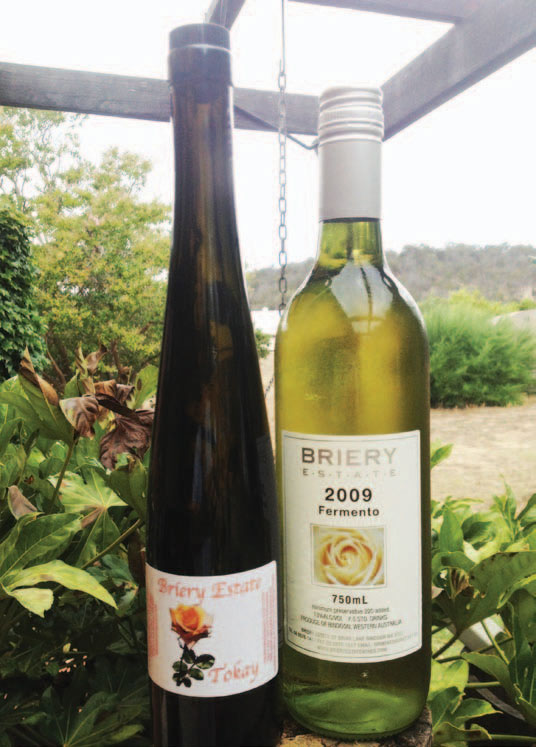 Furmint Perth Hills winery sings praises of Furmint