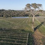 Late harvest for Margaret River Wine Region due to lower than average temperature