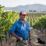 How is climate change affecting Australian vineyards?