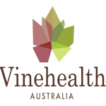Experience added to Vinehealth Australia board