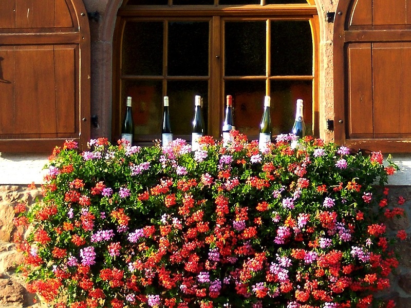 German wine wins top award in Canberra