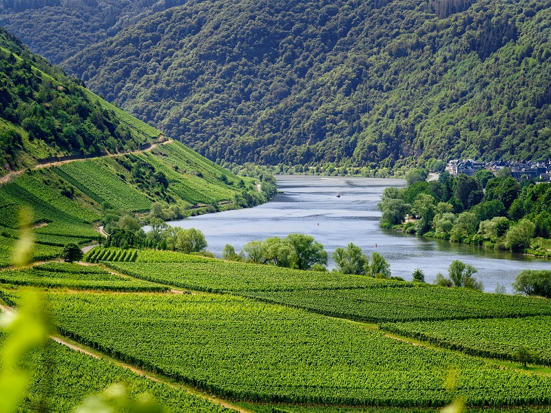From Napa to Sweden, be prepared for wine flavour fluctuations.