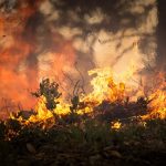 Fire danger forecast for the Greater Hunter wine region and others