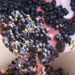 Lower grape crush report won’t compensate for oversupplied market