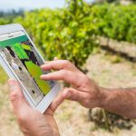 Project GAIA: your vineyard’s eye in the sky