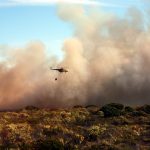 Bushfire technical response program announced by Wine Victoria