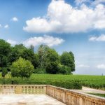 Blog: Climate the latest challenge for Burgundy