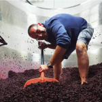 Blog: The rare vintner who makes wine from grapes only