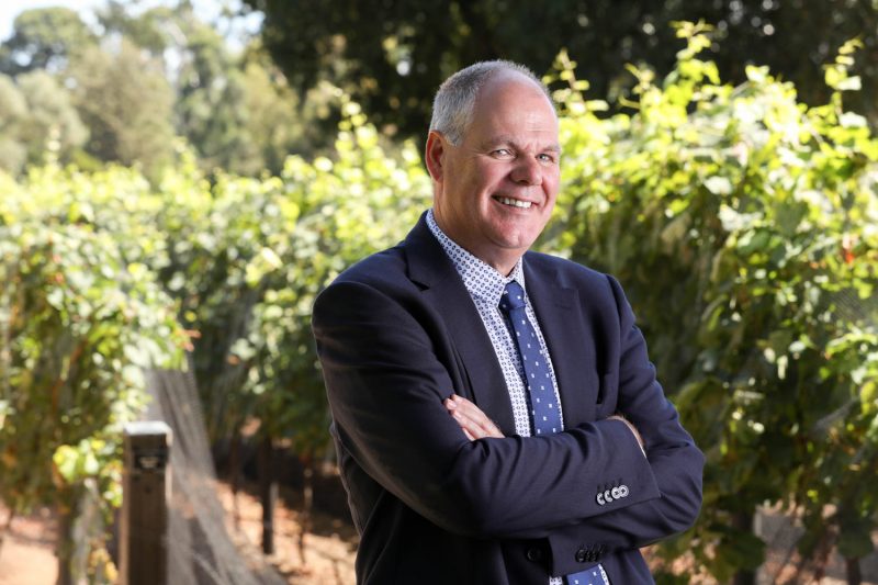 Wine sectors’ shift into recovery mode boosted by innovation funding