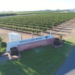 Private equity in the box seat to pick up McWilliam’s Wines