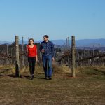 McKellar Ridge Wines expands premium wine focus with acquisition of Point of View Vineyard