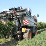 Code of Practice will drive heavy vehicle safety in the Australian wine industry