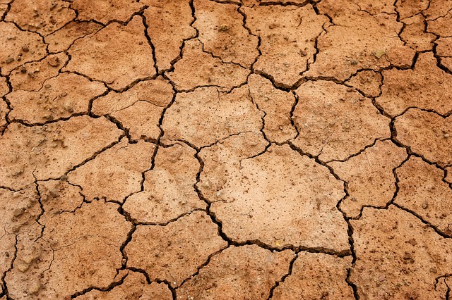 Future Drought Fund adoption and innovation hubs open for applications