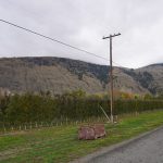 Opinion: English wine’s growth is unsustainable