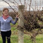 Sustainable wine boosts the bottom line