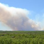 Opinion: smoke taint and the “smoke-curious”