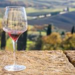 Blog: brutal year, bright future for wine tourism
