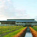 Villa Maria looking for new owner or investor, AFR reports