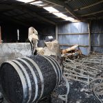 Victims of Cudlee Creek bushfire launch 0 million class action against SA Power Networks