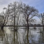 NSW floods "particularly concerning" for wine regions