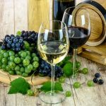 The environmental hangover from NZ’s winemaking
