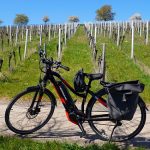 The wine industry’s go-to weather guy: facts over fax