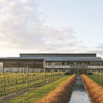 Potential bidder pulls out of Villa Maria purchase