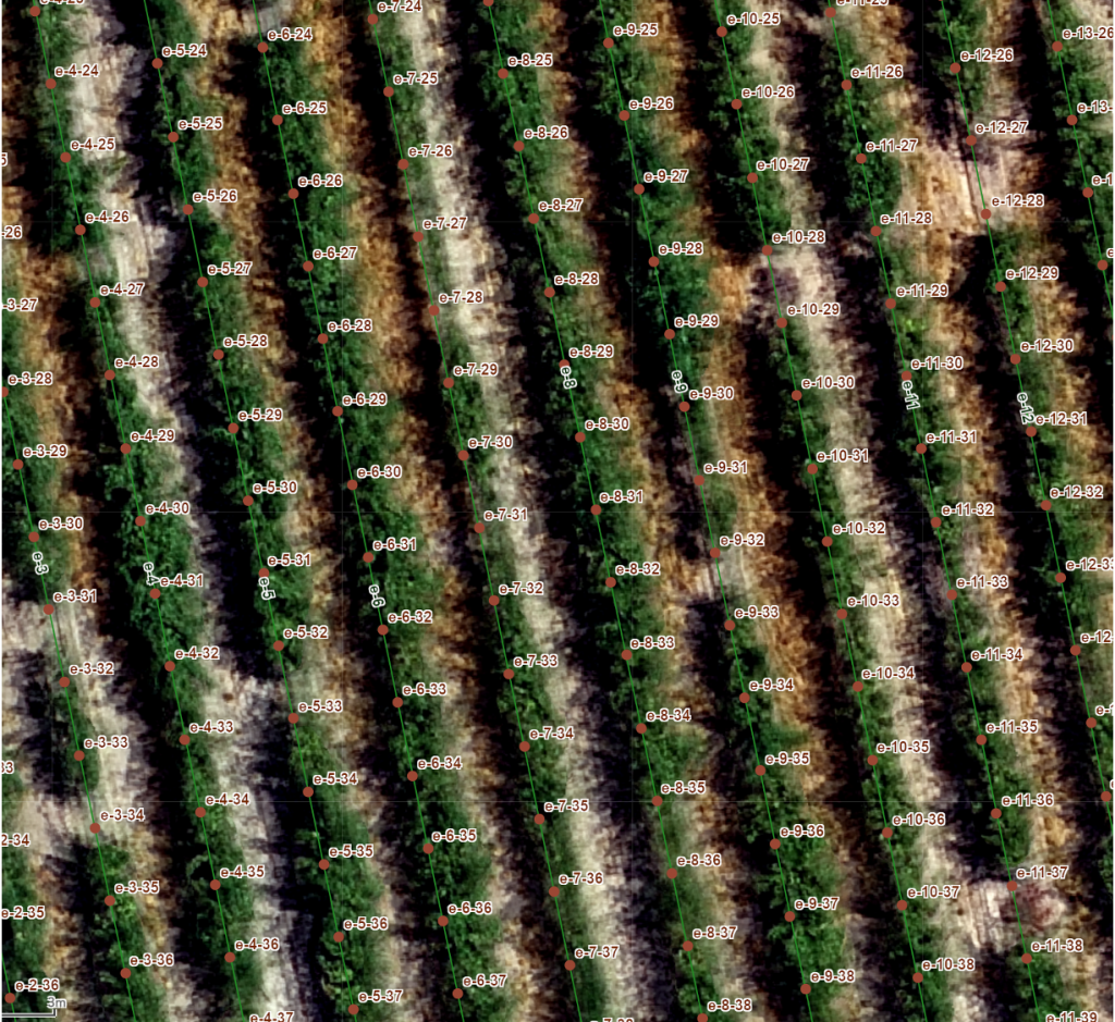 Airborne Logic digitally mapping out the location of every vine on each row