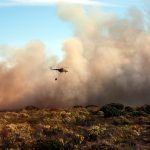 Fire breaks out near Sonoma, huge cloud of smoke seen across Wine Country