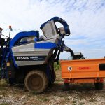 US: Autumn in the vineyard brings harvest and high hopes