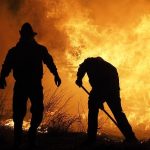 How wildfires are affecting Californian vineyards