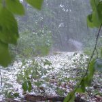 Huge storms smash Adelaide bringing golf ball sized hail and power outages