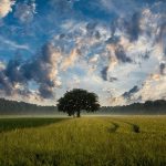Agriculture boom real but still a tough gig