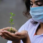Research team working to update decades-old vineyard nutrition guidelines