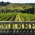 US: Central Coast grapegrowers and legal cannabis cultivators seek common ground