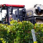 Pushing precision into practice in the vineyard