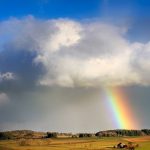 California got a lot of rain, but not nearly enough to end the drought