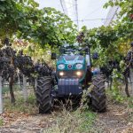 US winery association cuts ties with NDSU, says researchers not prioritizing industry needs