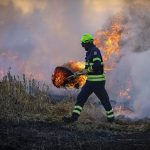 Alisal Fire at 93% contained
