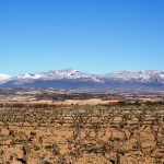 Revolution in Rioja