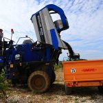 California harvests raise optimism levels