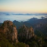 Australian wineries consider teaming up with Chinese wine producers