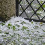 Victorian farmers assess crop losses from hail storm