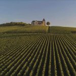 Treasury Wine Estates buys big in Napa and small in Bordeaux.