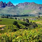 South African wines get boost from dispute between Australia and China