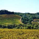 US: How family-owned wineries are adapting to modern markets