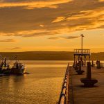 Vindependents launches Groupage Europe to overcome Brexit challenges