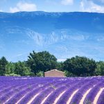 With international tourists and investors, Provence enters a new era